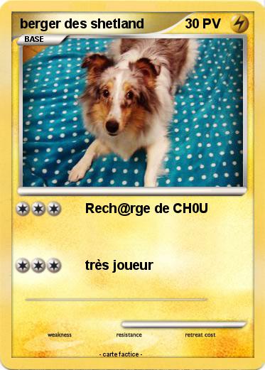 Pokemon berger des shetland