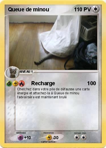 Pokemon Queue de minou