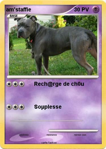 Pokemon am'staffie