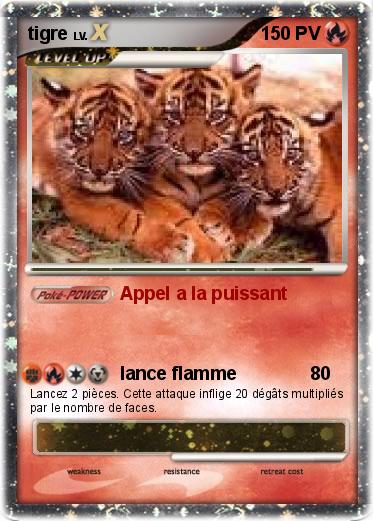 Pokemon tigre