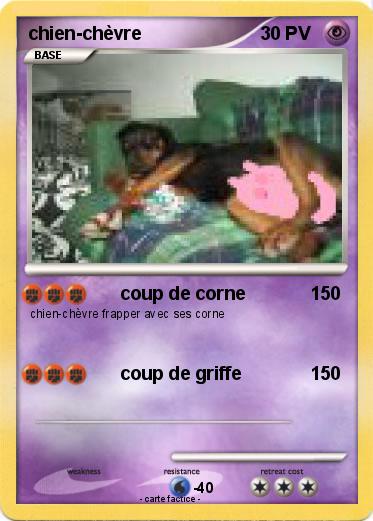 Pokemon chien-chèvre