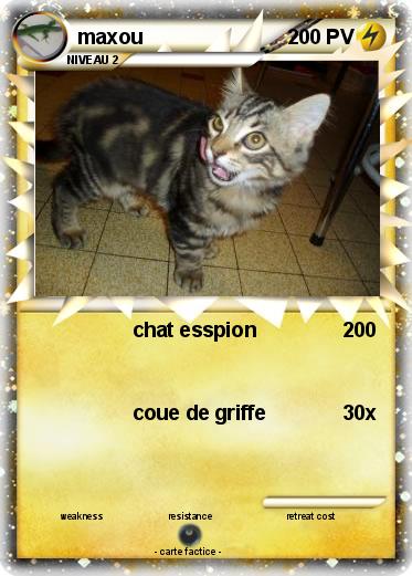 Pokemon maxou