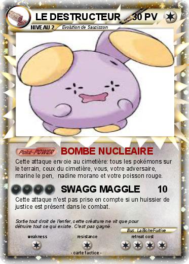 Pokemon LE DESTRUCTEUR