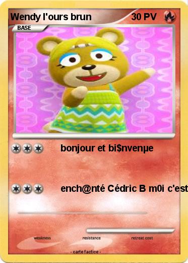 Pokemon Wendy l'ours brun