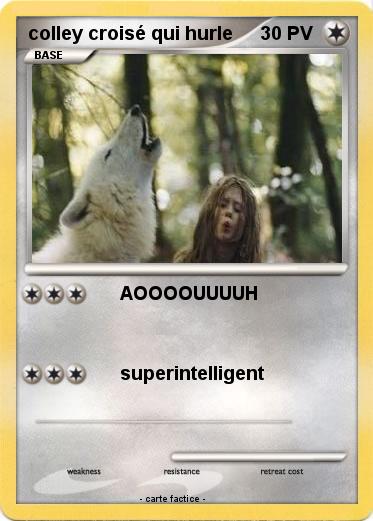 Pokemon colley croisé qui hurle