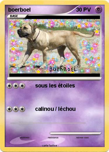 Pokemon boerboel