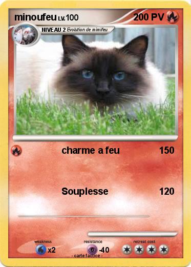 Pokemon minoufeu