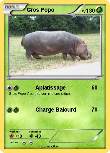 Pokemon Gros Popo