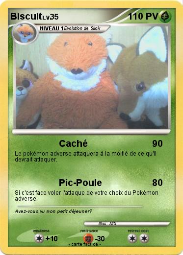 Pokemon Biscuit