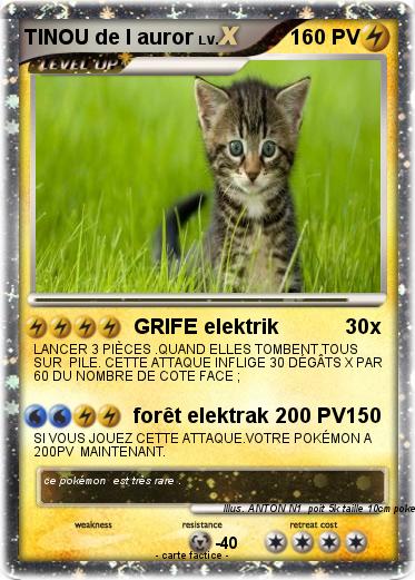 Pokemon TINOU de l auror