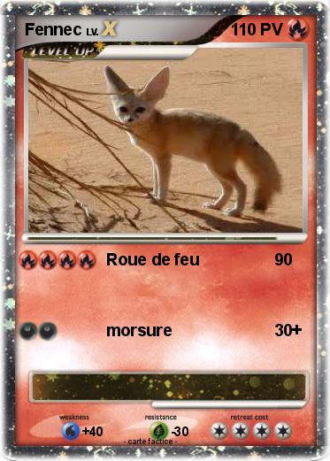 Pokemon Fennec