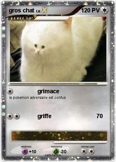 Pokemon gros chat