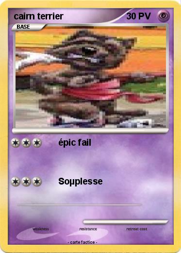 Pokemon cairn terrier