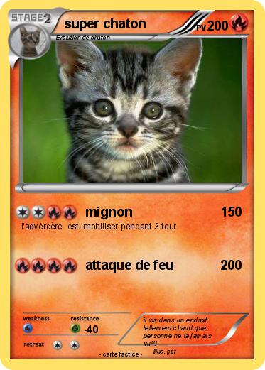 Pokemon super chaton