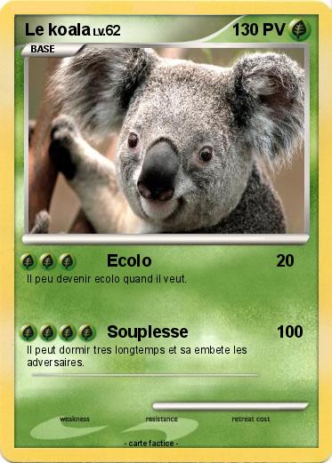 Pokemon Le koala