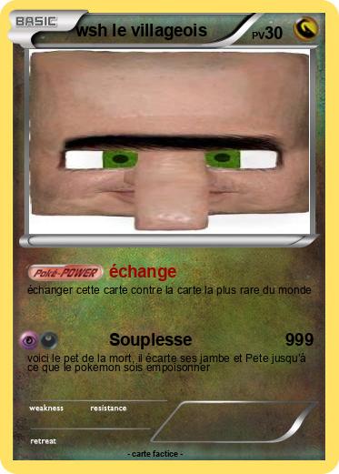 Pokemon wsh le villageois
