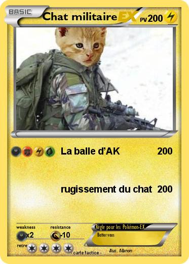 Pokemon Chat militaire