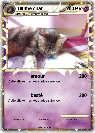 Pokemon ultime chat