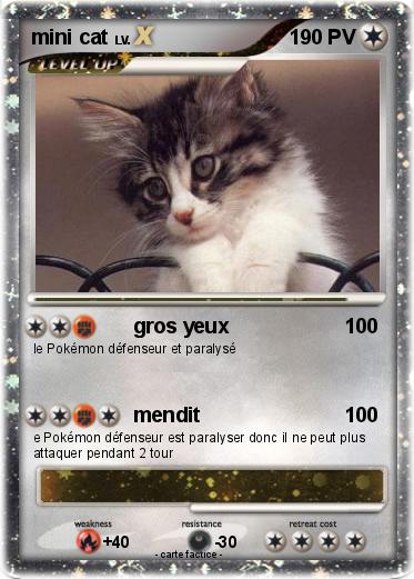 Pokemon mini cat