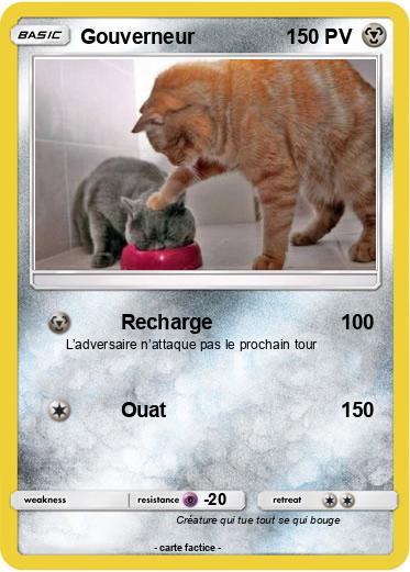 Pokemon Gouverneur