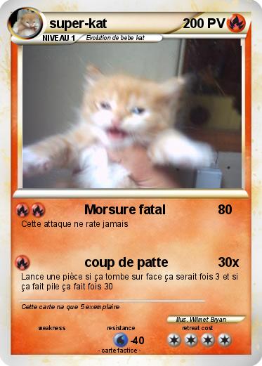 Pokemon super-kat
