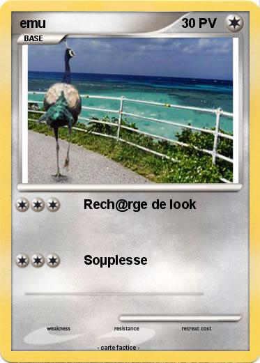 Pokemon emu