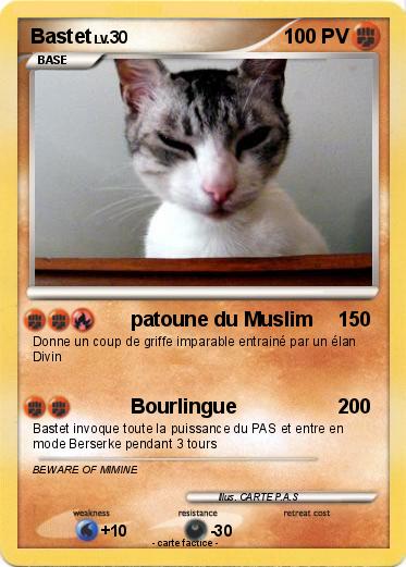 Pokemon Bastet