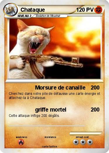 Pokemon Chataque