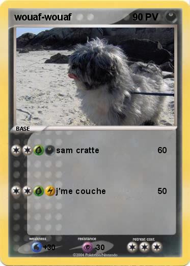 Pokemon wouaf-wouaf