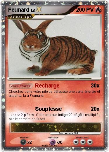 Pokemon Feunard