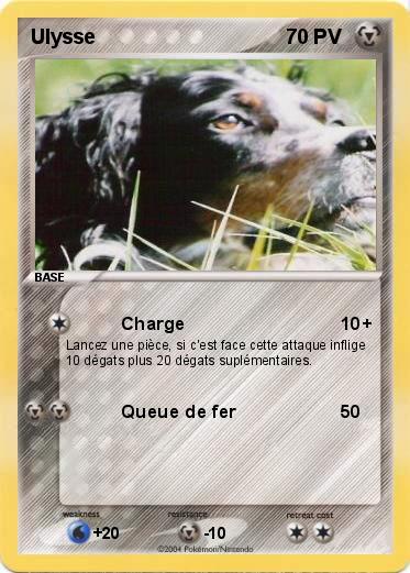 Pokemon Ulysse