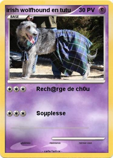 Pokemon irish wolfhound en tutu