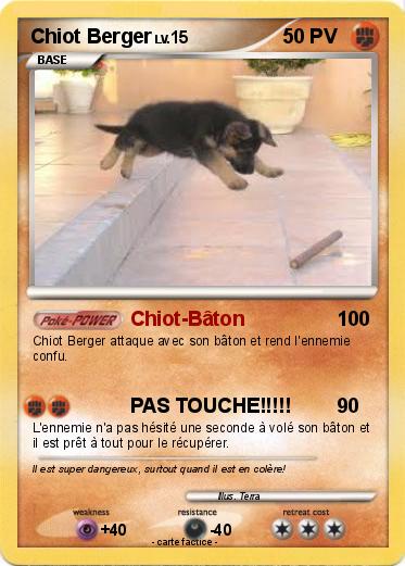 Pokemon Chiot Berger