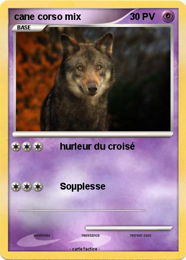 Pokemon cane corso mix