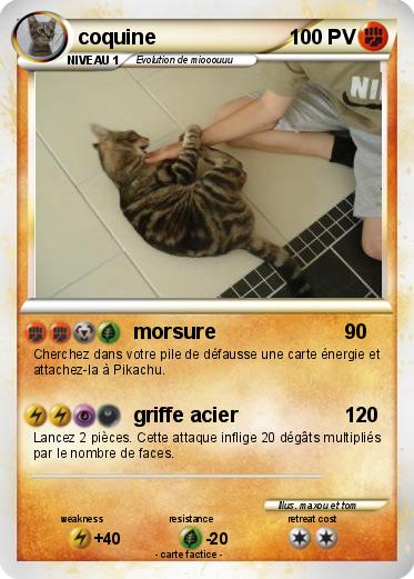 Pokemon coquine