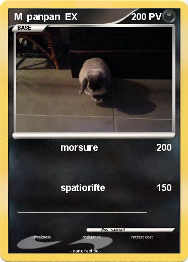 Pokemon M  panpan  EX