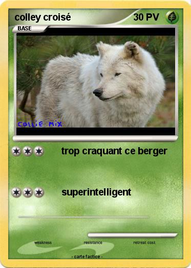 Pokemon colley croisé