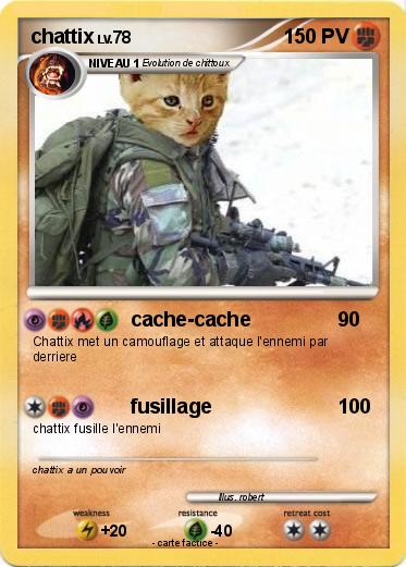 Pokemon chattix