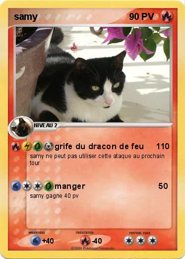 Pokemon samy