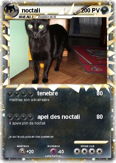Pokemon noctali