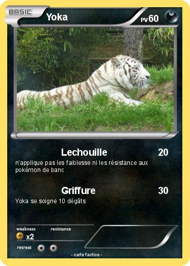 Pokemon Yoka