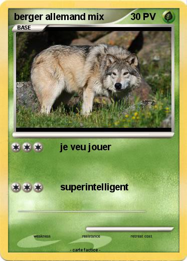 Pokemon berger allemand mix
