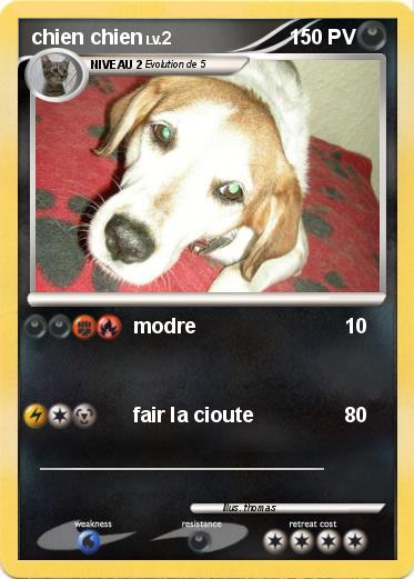 Pokemon chien chien