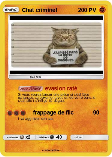 Pokemon Chat criminel