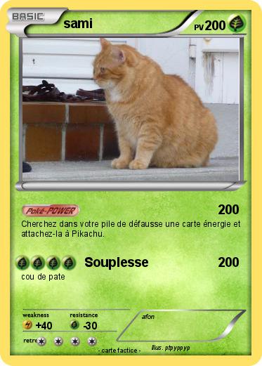 Pokemon sami