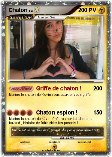 Pokemon Chaton