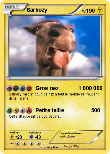 Pokemon Sarkozy