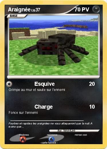 Pokemon Araignée