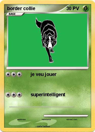 Pokemon border collie