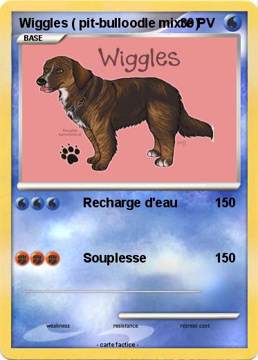 Pokemon Wiggles ( pit-bulloodle mixte )